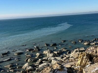  سدِ محکم دادستانی و منابع طبیعی در برابر «اسناد غیرقانونی» ساحلی