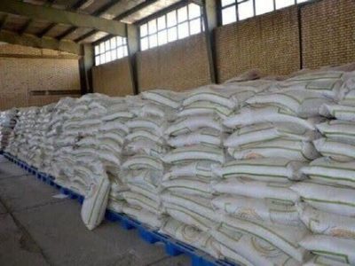 کشف ۳۳۰ تن برنج احتکاری در بابل؛ ارزش کالاهای ضبطشده ۱۳۰ میلیارد ریال