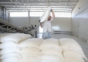 گره‌گشایی از بحران «حمل آرد» در بابل؛ ذخایر گندم مطلوب است اما توزیع لنگ می‌زند!
