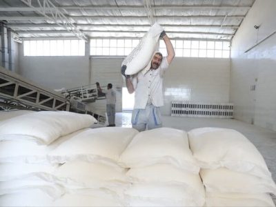 گره‌گشایی از بحران «حمل آرد» در بابل؛ ذخایر گندم مطلوب است اما توزیع لنگ می‌زند!