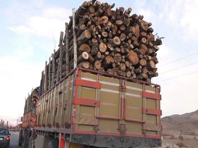 چرخش استراتژی قضایی مازندران؛ از پرونده سازی به پیشگیری در خط مقدم