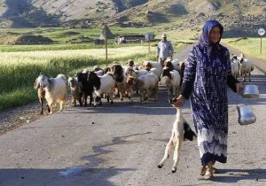 گردشگری، خدمتگزار روستا یا ارباب آن؟