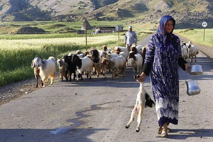گردشگری، خدمتگزار روستا یا ارباب آن؟ گردشگری، خدمتگزار روستا یا ارباب آن؟