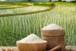 ثبتِ هویت در قابِ یک تمبر؛ برنج دابوی آمل در مسیر برندینگ ملی