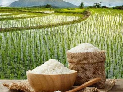 ثبتِ هویت در قابِ یک تمبر؛ برنج دابوی آمل در مسیر برندینگ ملی
